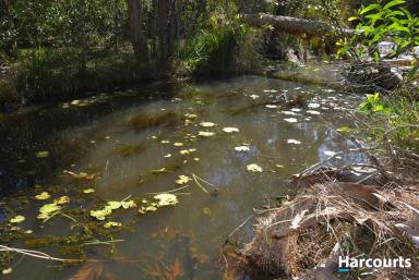 Residential Block Sold - QLD - Horton - 4660 - 152 ACRE BUSH RETREAT WITH GOOD WATER  (Image 2)