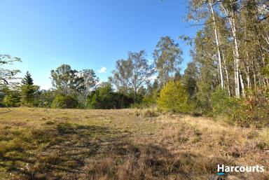 Residential Block Sold - QLD - South Isis - 4660 - ANOTHER SLICE OF GODS COUNTRY!  (Image 2)