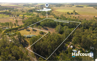 Residential Block Sold - QLD - South Isis - 4660 - ANOTHER SLICE OF GODS COUNTRY!  (Image 2)