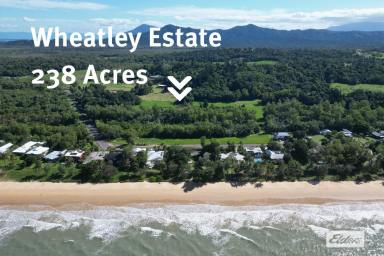 House Sold - QLD - Wongaling Beach - 4852 - Welcome to Wheatley Estate  (Image 2)
