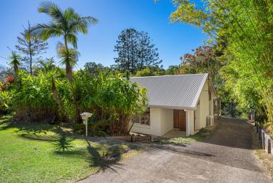 House Sold - QLD - Cooroy - 4563 - Fabulous Family Home in Sought-After Street  (Image 2)