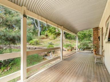 House Sold - NSW - Booyong - 2480 - Bon Voyage Booyong- Contact Agent  (Image 2)