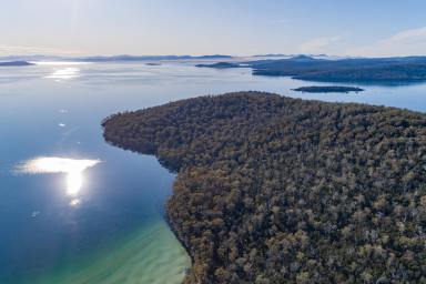 Residential Block For Sale - TAS - Taranna - 7180 - Escape to your own slice of waterfront wilderness with this pristine and secluded property.  (Image 2)