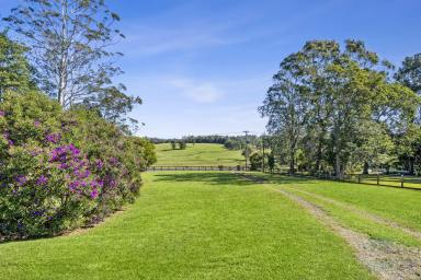 House Sold - QLD - Witta - 4552 - SOLD BY BRANT & BERNHARDT PROPERTY!  (Image 2)