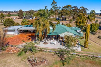 Acreage/Semi-rural Sold - QLD - Cambooya - 4358 - 'The Overshot’ - Horse Lovers Paradise!!  (Image 2)