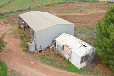 Lifestyle Sold - VIC - Red Cliffs - 3496 - WHEN RURAL & LIFESTYLE MEET  (Image 2)
