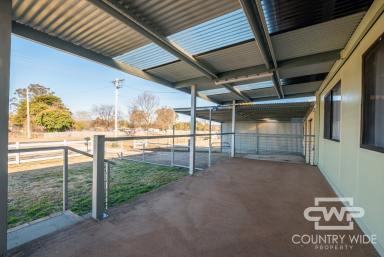 House Leased - NSW - Guyra - 2365 - Neat & Tidy Home  (Image 2)