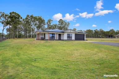 House Sold - QLD - North Isis - 4660 - OPEN TO OFFERS - MUST BE SOLD  (Image 2)