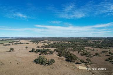 Mixed Farming For Sale - NSW - Inverell - 2360 - PART "BULAMIN"  (Image 2)
