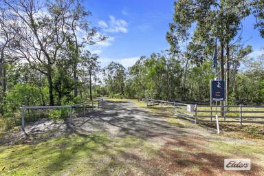 Acreage/Semi-rural Sold - QLD - Pacific Haven - 4659 - 42.5 ACRES OF SERENITY  (Image 2)