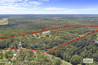 Acreage/Semi-rural Sold - QLD - Pacific Haven - 4659 - 42.5 ACRES OF SERENITY  (Image 2)