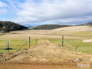 Residential Block Sold - TAS - Colebrook - 7027 - Unique Opportunity in Colebrook - Your Dream Country Living Awaits!  (Image 2)