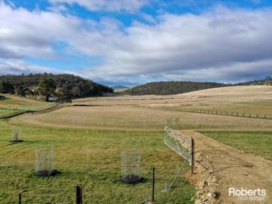 Residential Block Sold - TAS - Colebrook - 7027 - Unique Opportunity in Colebrook - Your Dream Country Living Awaits!  (Image 2)