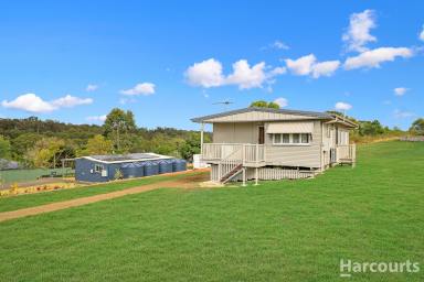 House For Lease - QLD - Apple Tree Creek - 4660 - Enjoy The Country Lifestyle  (Image 2)