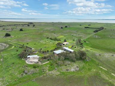 Livestock Sold - VIC - Dreeite - 3249 - PRODUCTIVE COLAC DISTRICT PROPERTY  (Image 2)