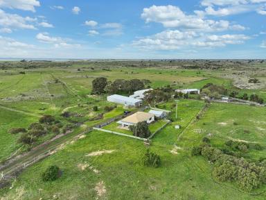 Livestock Sold - VIC - Dreeite - 3249 - PRODUCTIVE COLAC DISTRICT PROPERTY  (Image 2)