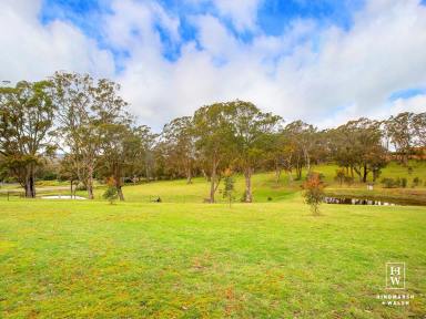 Residential Block For Sale - NSW - Aylmerton - 2575 - 10 Acres Ready to Build  (Image 2)
