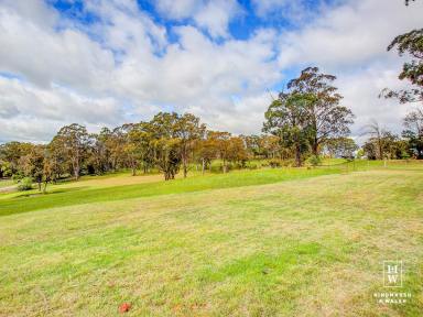 Residential Block For Sale - NSW - Aylmerton - 2575 - 10 Acres Ready to Build  (Image 2)