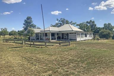 Other (Rural) For Sale - NSW - Collie - 2827 - Acres, Homestead and 5 kms from Collie!  (Image 2)