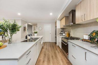 House Sold - VIC - Strathfieldsaye - 3551 - Stylish Family Living In Popular Strathfieldsaye  (Image 2)