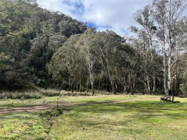 Acreage/Semi-rural Sold - VIC - Tongio - 3896 - BE QUICK! – OFF GRID CABIN ON 164 ACRES OF HIGH COUNTRY BUSH  (Image 2)