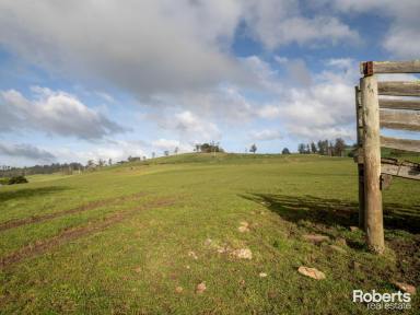Lifestyle For Sale - TAS - Sunnyside - 7305 - Ideal location for livestock management or run off block on 34.37 acres approx.  (Image 2)