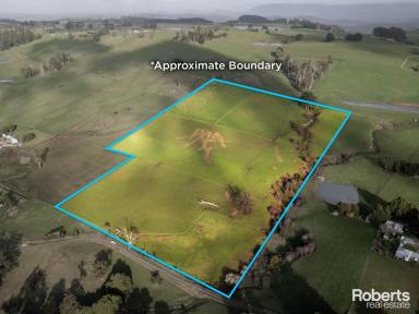 Lifestyle For Sale - TAS - Sunnyside - 7305 - Ideal location for livestock management or run off block on 34.37 acres approx.  (Image 2)