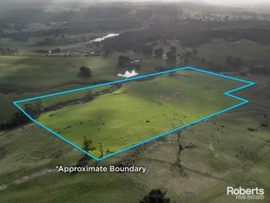 Lifestyle For Sale - TAS - Sunnyside - 7305 - Ideal location for livestock management or run off block on 34.37 acres approx.  (Image 2)