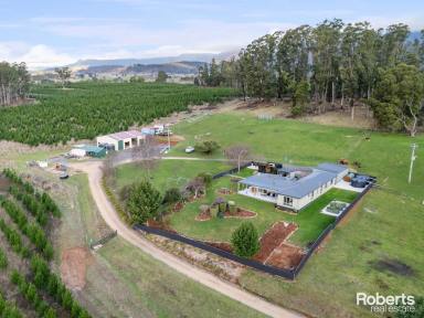 Cropping Sold - TAS - Mole Creek - 7304 - Peaceful sanctuary or a place to pursue your hobbies  (Image 2)