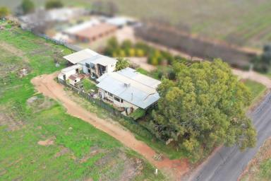 House Sold - VIC - Merbein - 3505 - LIFESTYLE ALLOTMENT WITH MODEST HOME & SHEDDING  (Image 2)