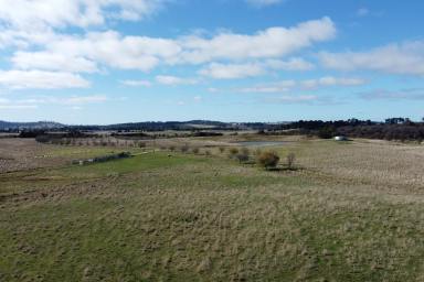 Mixed Farming For Sale - NSW - Spring Hill - 2800 - Opportunity to build on 145 acres, Close to Orange!!  (Image 2)