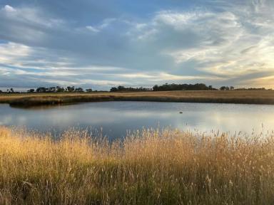 Mixed Farming For Sale - NSW - Spring Hill - 2800 - Opportunity to build on 145 acres, Close to Orange!!  (Image 2)