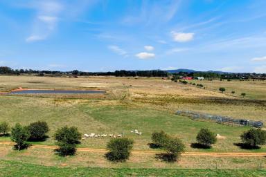 Mixed Farming For Sale - NSW - Spring Hill - 2800 - Opportunity to build on 145 acres, Close to Orange!!  (Image 2)