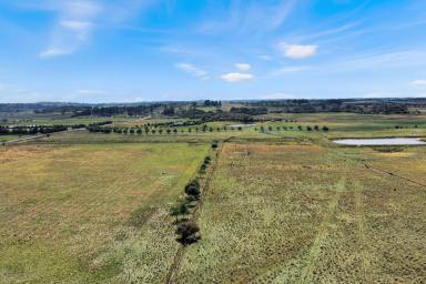 Mixed Farming For Sale - NSW - Spring Hill - 2800 - Opportunity to build on 145 acres, Close to Orange!!  (Image 2)