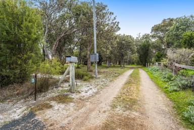 House Sold - WA - Barragup - 6209 - 5 ACRE PARADISE SO CLOSE TO THE ACTION  (Image 2)