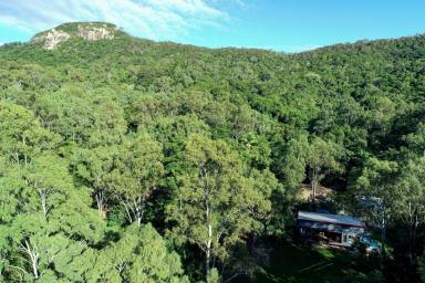 Hotel/Leisure Sold - QLD - Byfield - 4703 - FREEHOLD SALE - ECO ACCOMMODATION BUSINESS WITHIN TOURIST LOCATION  (Image 2)