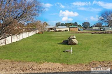 Residential Block For Sale - NSW - Tenterfield - 2372 - Parkland Views.....  (Image 2)