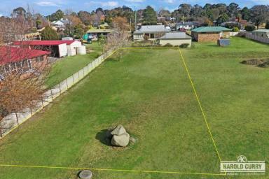 Residential Block Sold - NSW - Tenterfield - 2372 - Parkland Views.....  (Image 2)