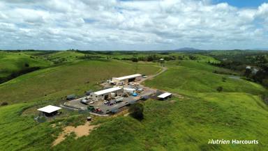 Other (Rural) For Sale - QLD - Booyal - 4671 - *BOOYAL PARK* BREEDING AND FATTENING BLOCK  (Image 2)
