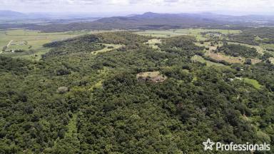 Lifestyle For Sale - QLD - The Leap - 4740 - Spectacular 63-Acre Property with Breathtaking Views, Close to Mackay  (Image 2)