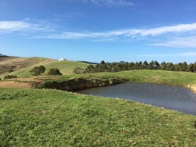 Other (Rural) For Sale - VIC - Foster - 3960 - In the heart of Prom Country  (Image 2)