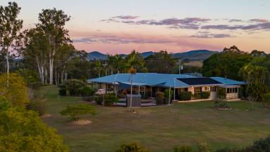 Acreage/Semi-rural For Sale - QLD - Jones Hill - 4570 - Acreage Oasis Perfect for Families, Guests and Your Home Business  (Image 2)