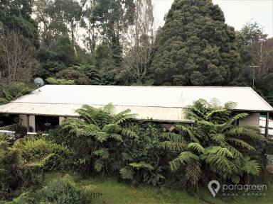 Farmlet Sold - VIC - Foster North - 3960 - PRIVATE GETAWAY  (Image 2)