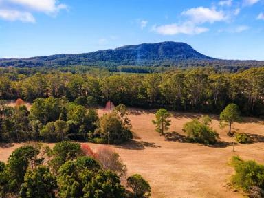 Acreage/Semi-rural Sold - NSW - Eungai Creek - 2441 - Country living, original farmhouse and 15 approved lots...  (Image 2)
