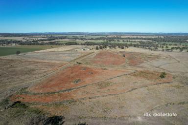 Mixed Farming Sold - NSW - Inverell - 2360 - GLENCAIRNE  (Image 2)