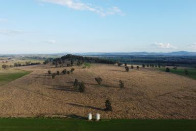 Cropping For Sale - NSW - Canowindra - 2804 - 328 ACRES RIVERFRONT COUNTRY + BUILDING ENTITLEMENT  (Image 2)