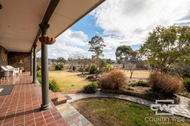 Lifestyle For Sale - NSW - Glen Innes - 2370 - A Tranquil Retreat Close to Glen Innes  (Image 2)