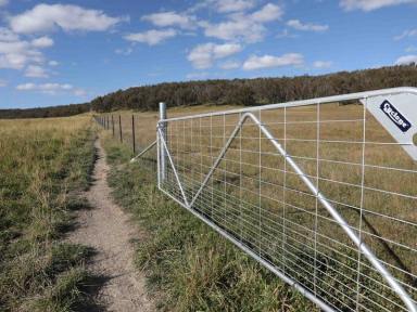 Livestock For Sale - NSW - Walcha - 2354 - Prized New England Grazing Land for $2,400 per acre  (Image 2)