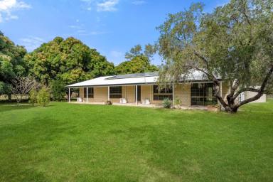 Acreage/Semi-rural Sold - QLD - Hervey Range - 4817 - Peace & Quiet | So Close to Town  (Image 2)