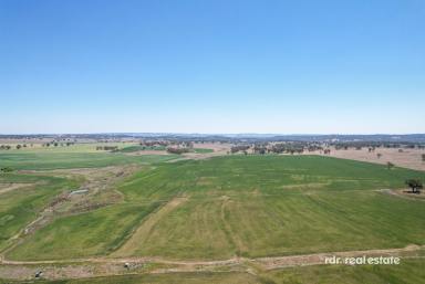 Cropping Sold - NSW - Inverell - 2360 - STUNNING VISTAS & THE COUNTRY DREAM  (Image 2)